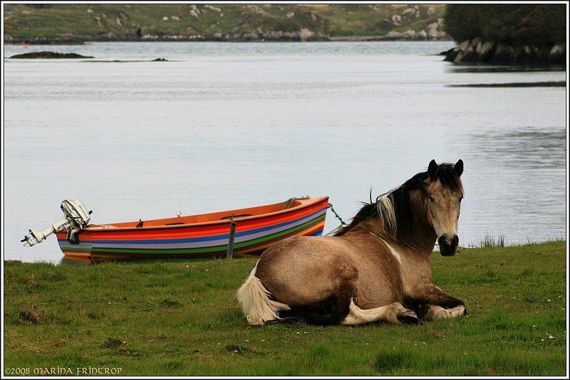 Das Leben kann so schn sein - Mittags am Ring of Beara in der Nhe von Dunboy, Irland County Cork.