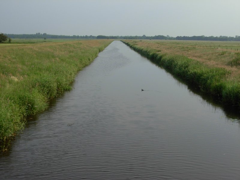 Das Sauteler Tief im Sommer 2007 in Ostfriesland. Aufgenommen vom Timmeler Hauptweg