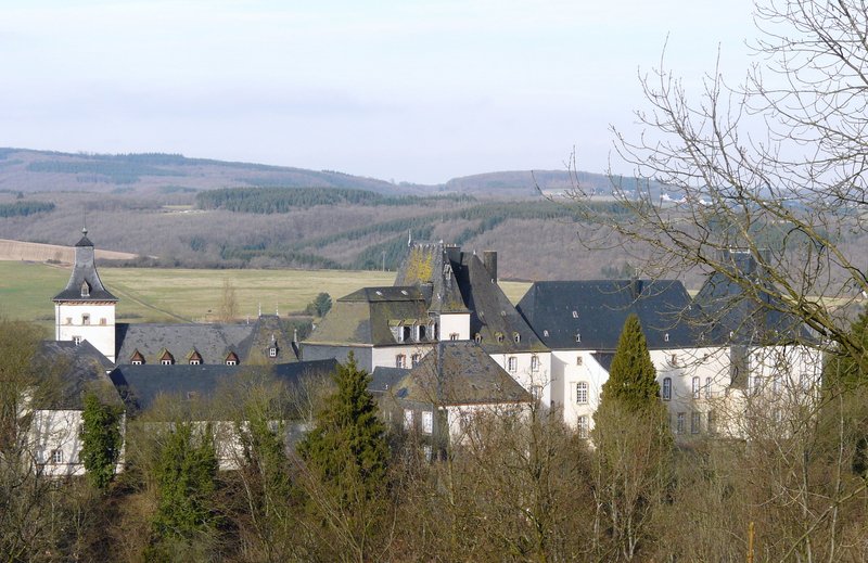 Das Schloss (12. Jahrhundert) von Wiltz (Luxemburg) an einem schnen Wintertag. Das Bild wurde von der Route d'Ettelbrck aus gemacht am 27.01.08.