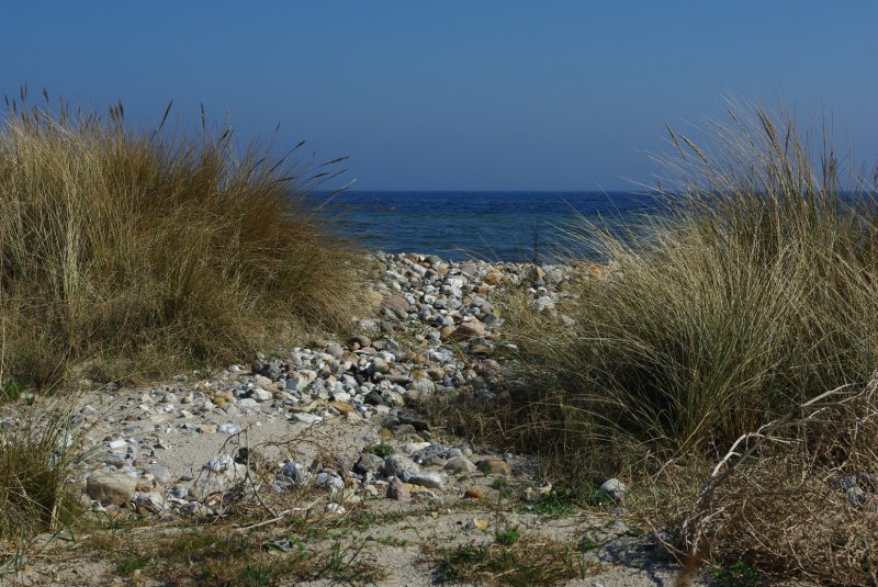 Das Seegras gibt einen Blick preis - durch die Dnen zur See.