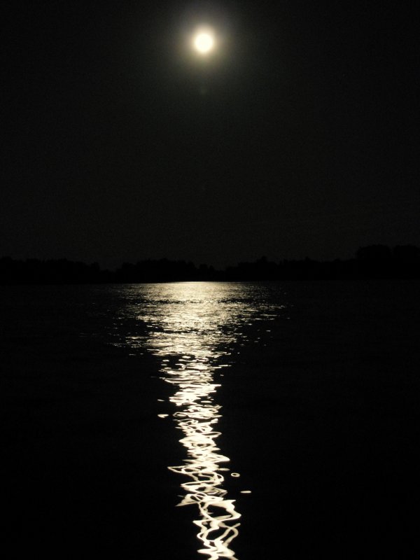 Das Timmeler Meer bei Nacht im September 2008