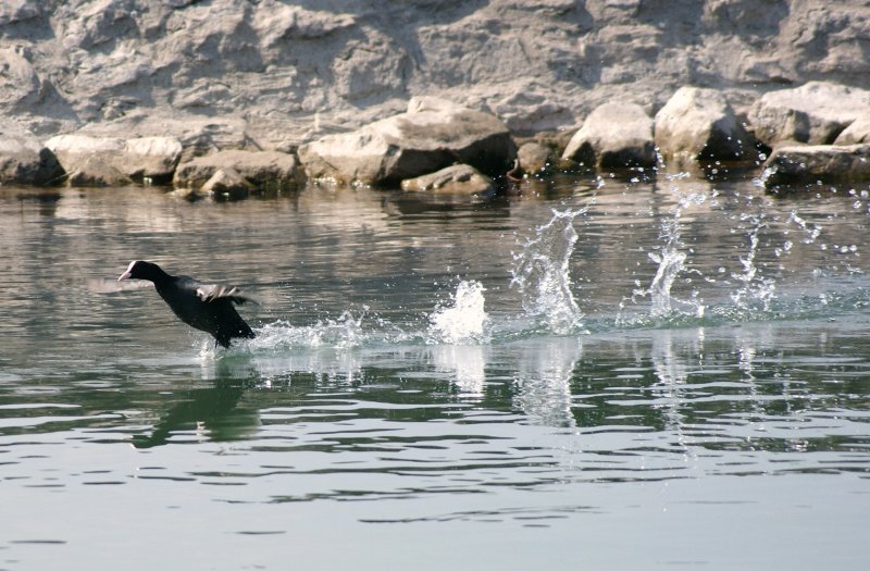 Das Wasser ist aber noch sehr kalt...
(April 2009)