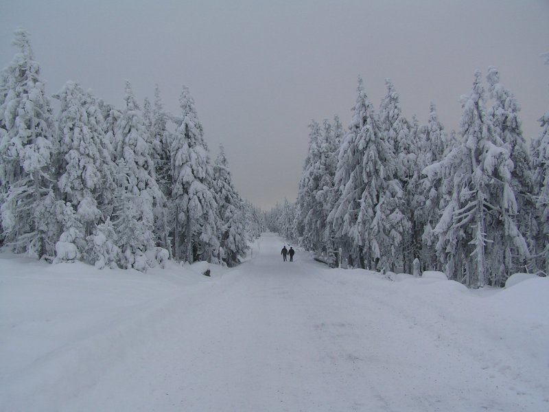 Der 30.11.2005 war im Hochharz sehr kalt und stark verschneit, wie man wohl nicht bersehen kann. Dieses Foto habe ich auf der Brockenstrae von Schierke kurz vorm Brocken aufgenommen. Bei viel Schnee ist der Hochharz beeindruckend! 