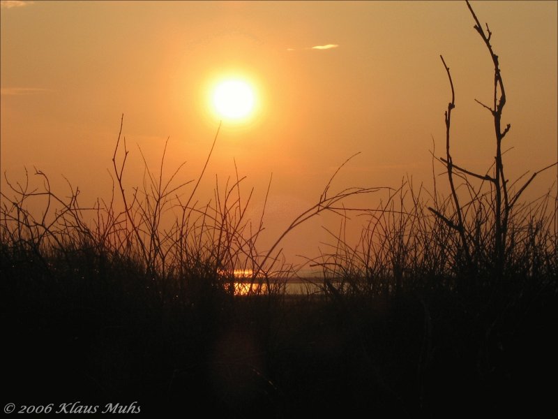 Der Abend des 17.08.2006 auf Borkum.