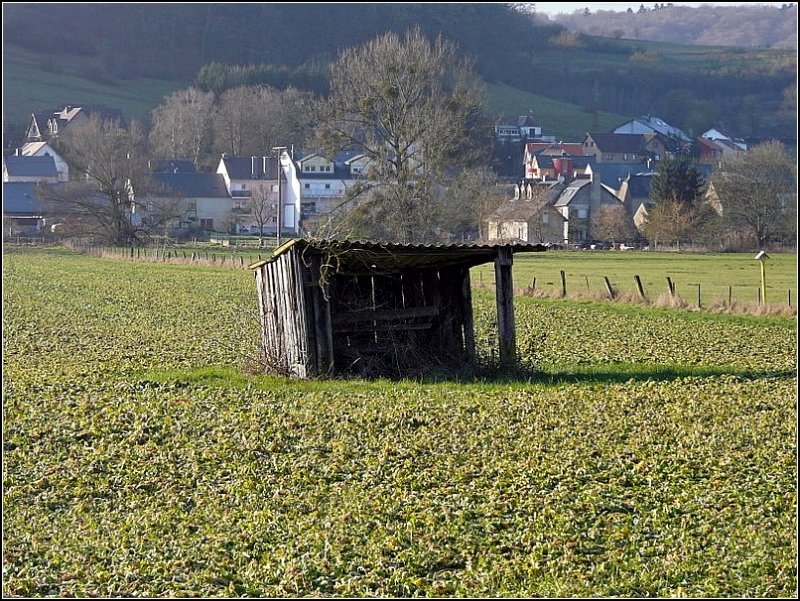 Der alte windschiefe Schuppen zwischen Lintgen und Mersch wurde noch nicht vom Wind weg geweht. Er fristet noch immer sein trauriges Dasein und gibt auch seinen Inhalt preis ☺. 28.12.08 (Jeanny)