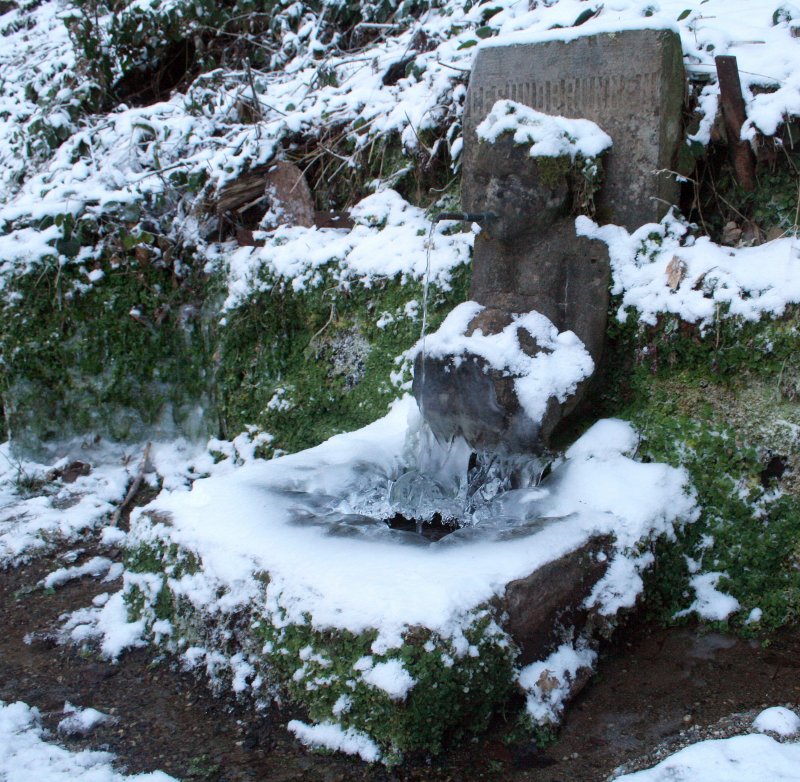 Der Gesundbrunnen bei Hornberg 11.1.09