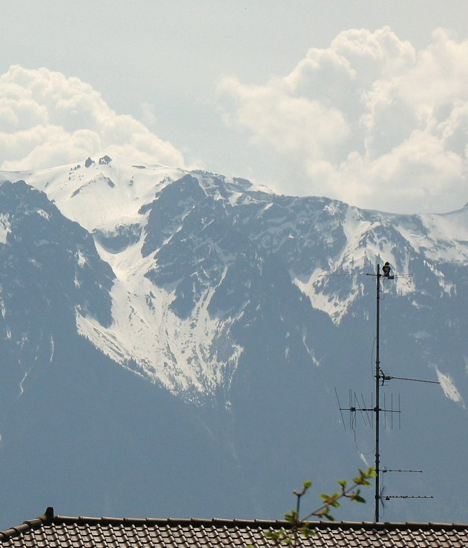 Der Grammont (2172m..M) scheint schlechter Laune zu sein...
(04.05.2008)