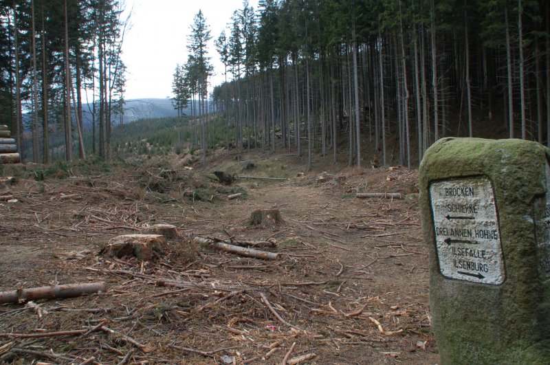 Der Heinrich-Heine-Weg (Ilsenburg - Brocken) mit Aussicht auf die Brocken. Rechts ein schner Wegweiser, der uns genau den Weg zu den Brocken zeigt. 19.02.2007