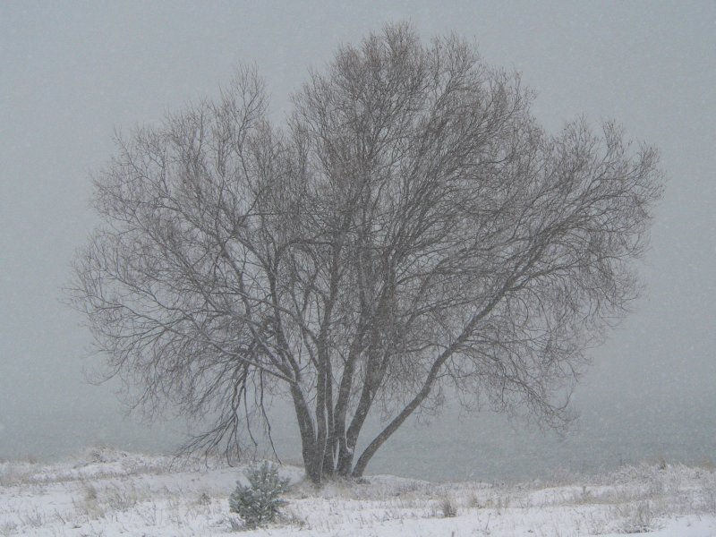 Der letzte kalte Winter? Naja, ganz so schlimm wirds nicht sein. Dezember 2005 bei Prora