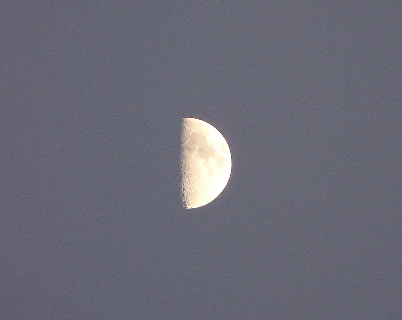 Der Mond hat schon wieder krftig zugenommen und prsentierte sich am 14.02.08 gegen 17.50 sehr klar am Himmel in Erpeldange/Wiltz (Luxemburg).