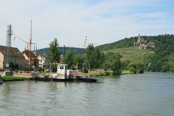 Der Neckar bei Hamersheim mit Neckarfhre und der Burg Hornberg im Hintergrund.