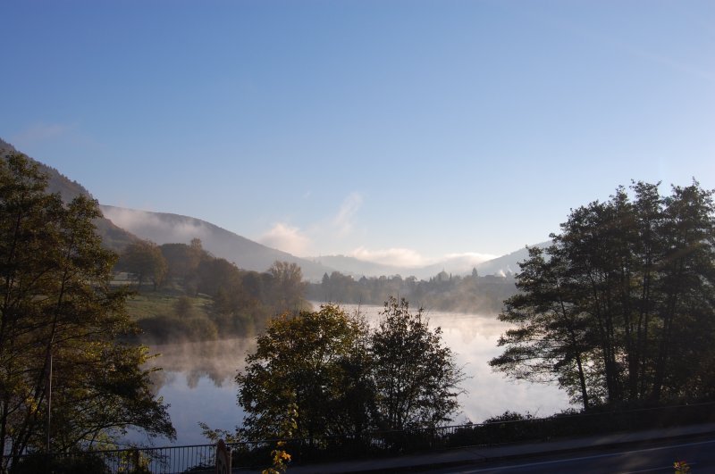 Der Neckar dampft und benebelt die Sinne