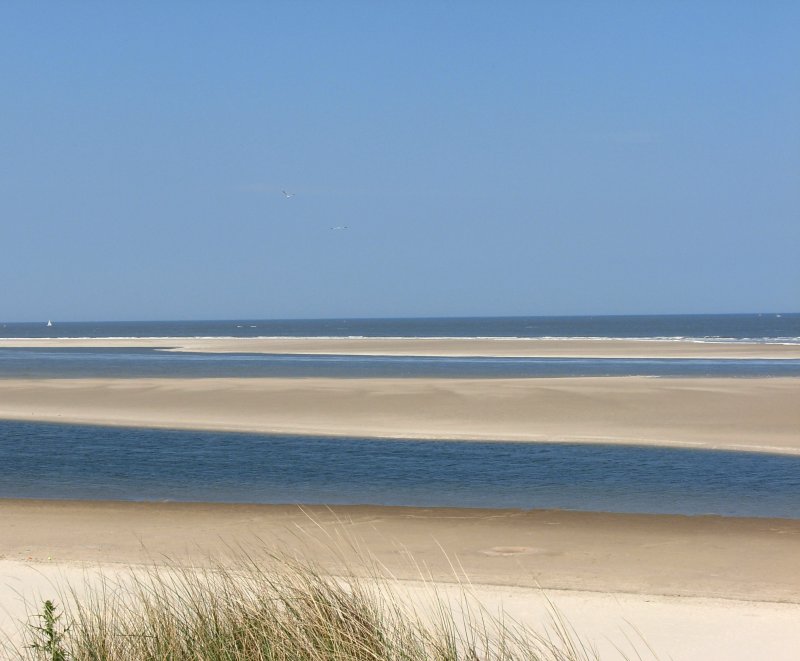 Der Nordstrand mit der Robbenplate auf Spiekeroog am 22.05.2008