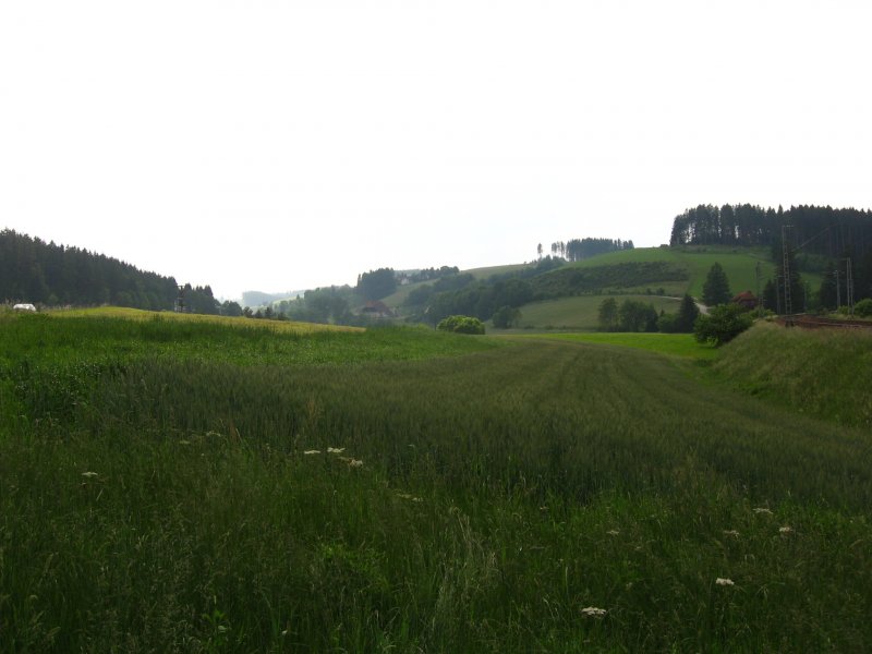 Der Schwarzwald bei St.Georgen Juli 2007