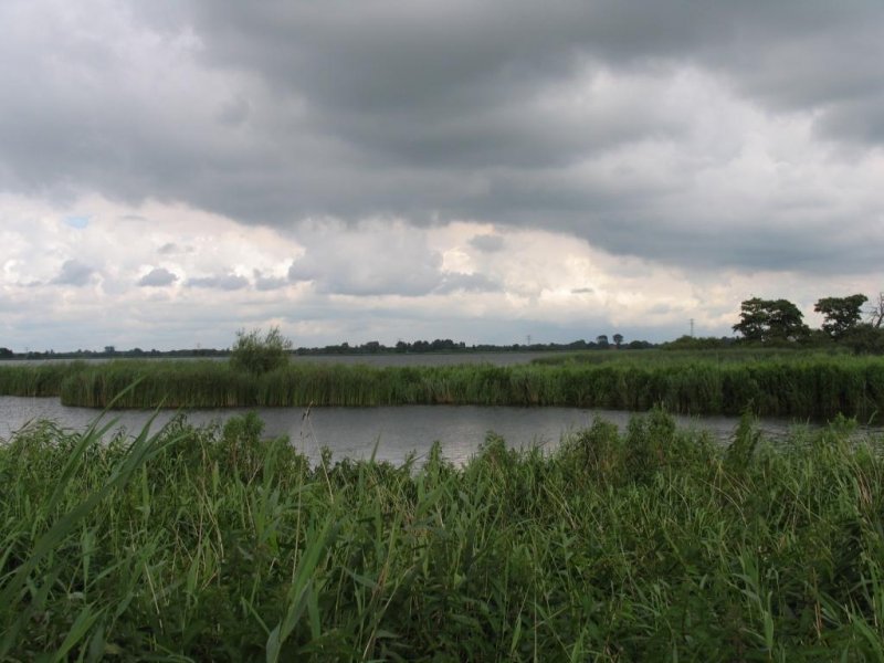 Der Swassersee  De Leijen  bei Rottevalle (Provinsje Frysln) am 4-7-2007.