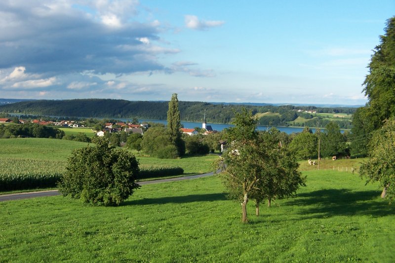 Der Tachinger See und seine Umgebung