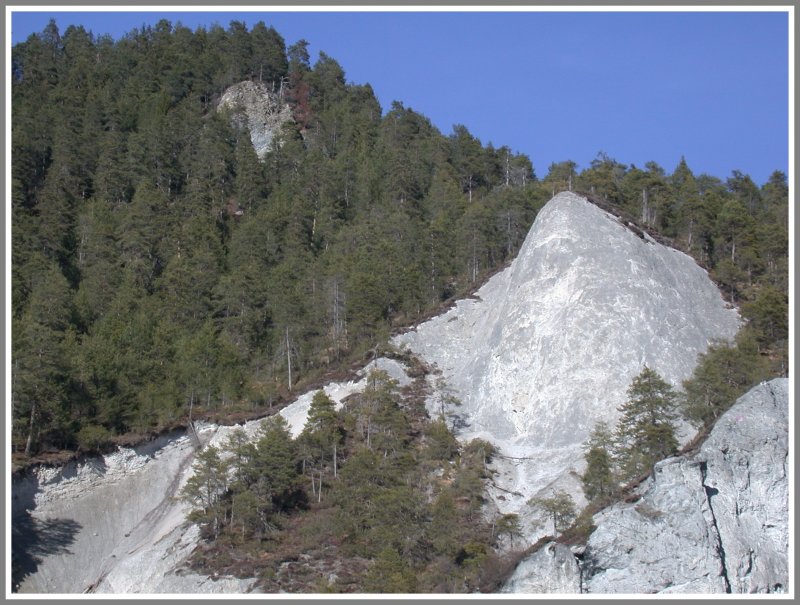 Der Wald gibt sich mit wenig Humus zufrieden. (04.03.2007)