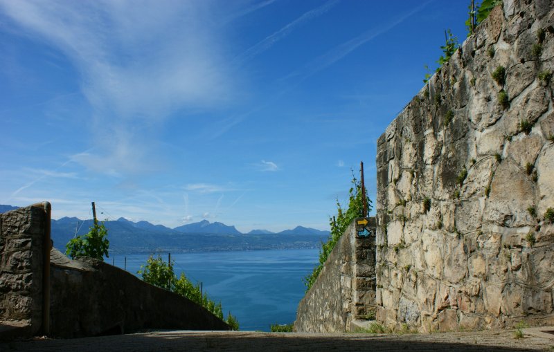 Der Wanderer hat die Wahl: Links fhren zwei Wanderrouten weiter in Richtung Lausanne, oder aber man geht langsam wieder bergab dem See entgegen. Wie man sich auch entscheidet, die herrliche Aussicht begleitet einen auf Schritt und Tritt.
(Mai 2009)