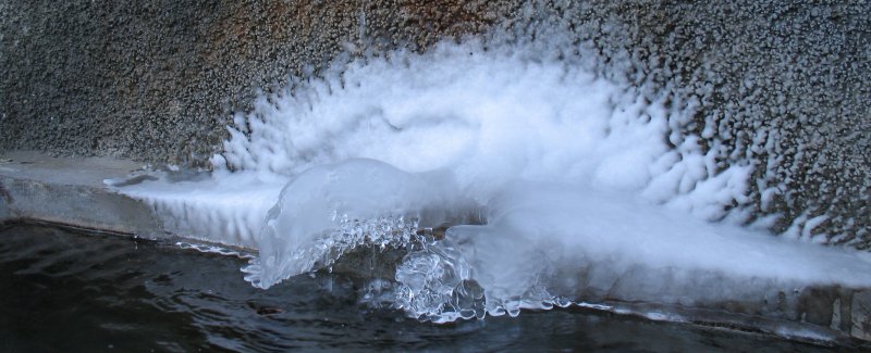 Der Winter ist sein eigener Knstler: Ein Eisschwan entstanden durch viele Wassertropfen.
(Dezember 2007)