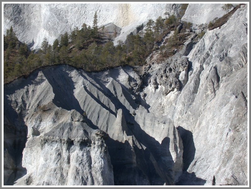 Die Bume scheinen sich verzweifelt an die Hnge zu klammern. (04.03.2007)