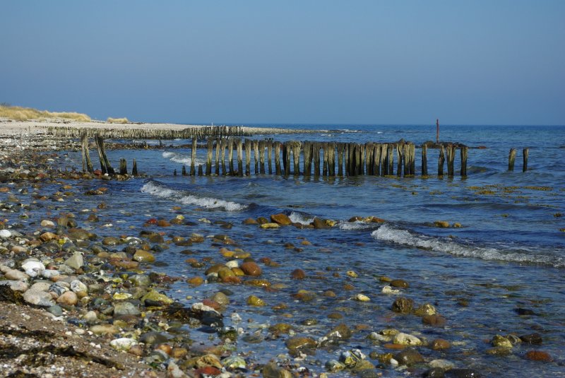 Die Buhnen stehen schon lange verlassen am Strand. Einst waren sie stark und fest. Nun hat die See sie geschwcht.