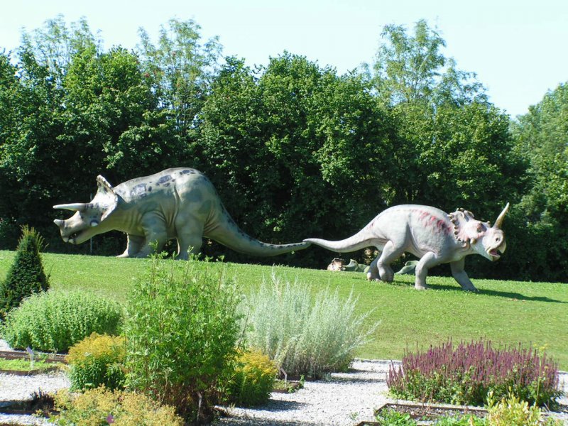 Die Dinos sind los im Freizeitpark Agrarium;(Steinerkirchen/Traunviertel) 070715