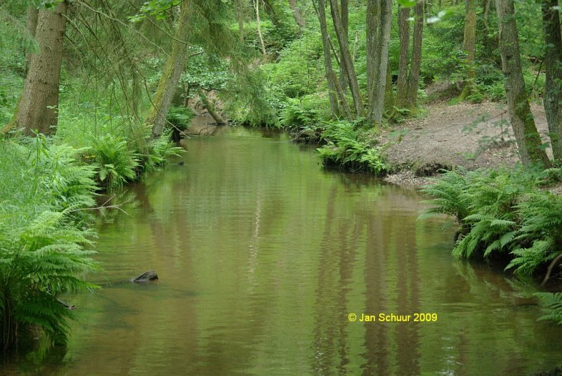 Die Este als Waldfluss unweit der Butterbarg Brgg im Verlauf des Este Wanderweges von Btersheim nach Hollenstedt. Das Bild enstand auf einer Radtour von Buchholz in der Nordheide nach Hollenstedt.