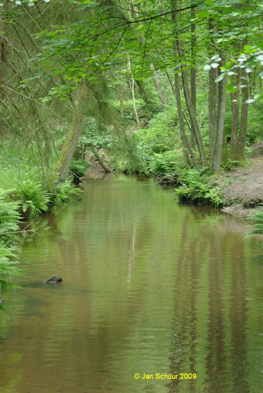 Die Este als Waldfluss unweit der Butterbarg Brgg im Verlauf des Este Wanderweges von Btersheim nach Hollenstedt. Das Bild enstand auf einer Radtour von Buchholz in der Nordheide nach Hollenstedt.