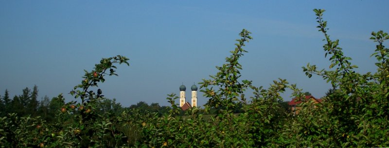 Die Gartelbergkirche von Pfarrkirchen am 28.07.2008