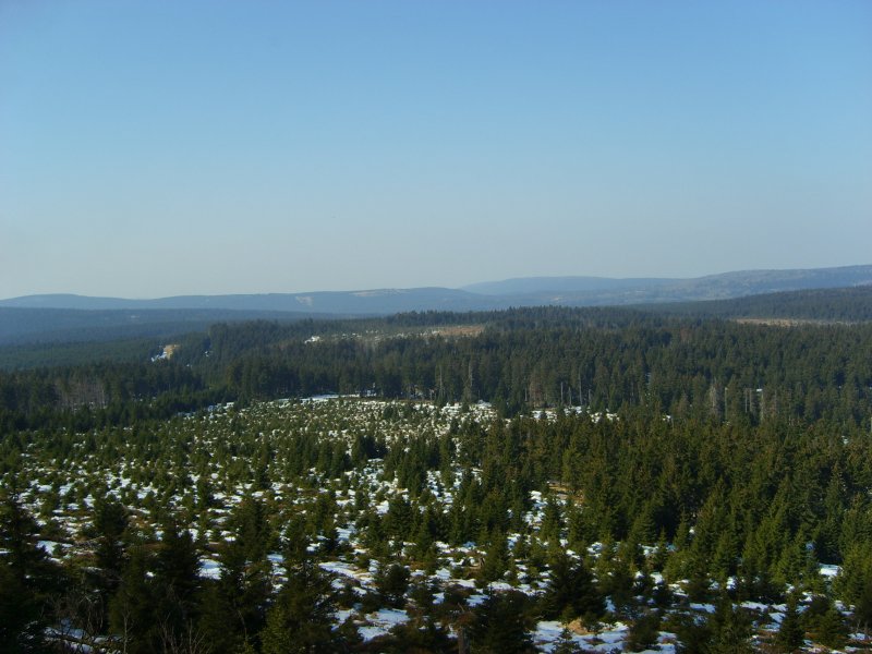 Die Harz/Brockenlandschaft von dem bahnhof Ghoeteweg aus aufgenommen