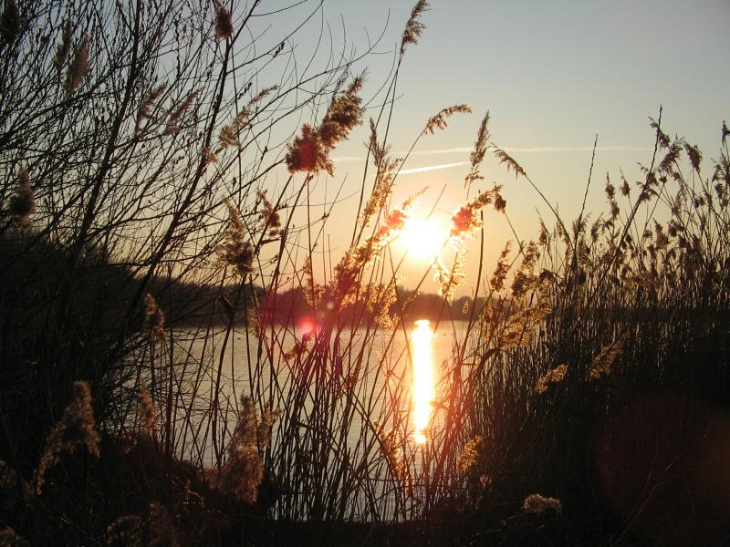 Die letzten Sonnenstrahlen ber der Kiesgrube bei Eilenburg, 24.02.08