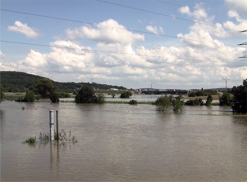 Die Ruhr fhrt am 23. August starkes Hochwasser. Sehr ungewhnlich zu dieser Jahreszeit. (Im Hintergrund die A1)
Aufn. Hagen 2007 