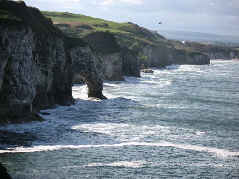 Die weisse Felsenkste zwischen Dunluce Castle und Portrush.
(September 2007)