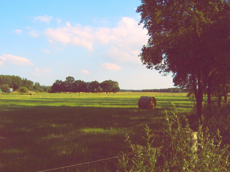 Dies ist die Landschaft bei Putlitz in der Prignitz.