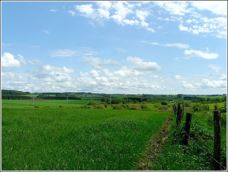 Diese Aussicht kann man geniessen, wenn man an einer der hchsten Stellen Luxemburgs steht. 17.05.09 (Jeanny)