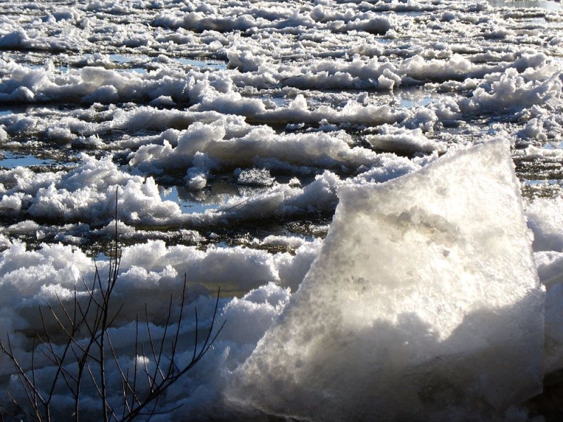 Diese Eisscholle ist hochkant steckengeblieben, 06.01.2009