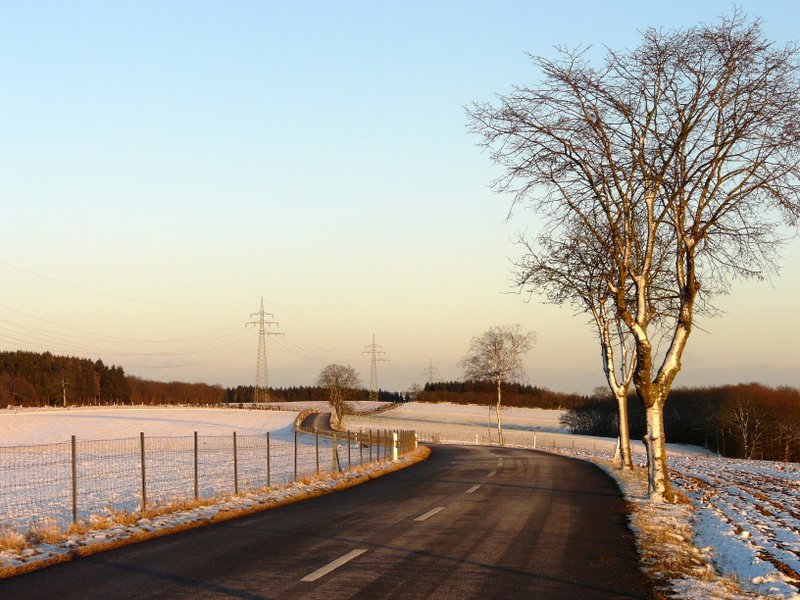 Diese Strae fhrt von Masseler nach Dahl (Luxemburg). Das Bild wurde in der Abenddmmerung des 02.02.08 gemacht. 