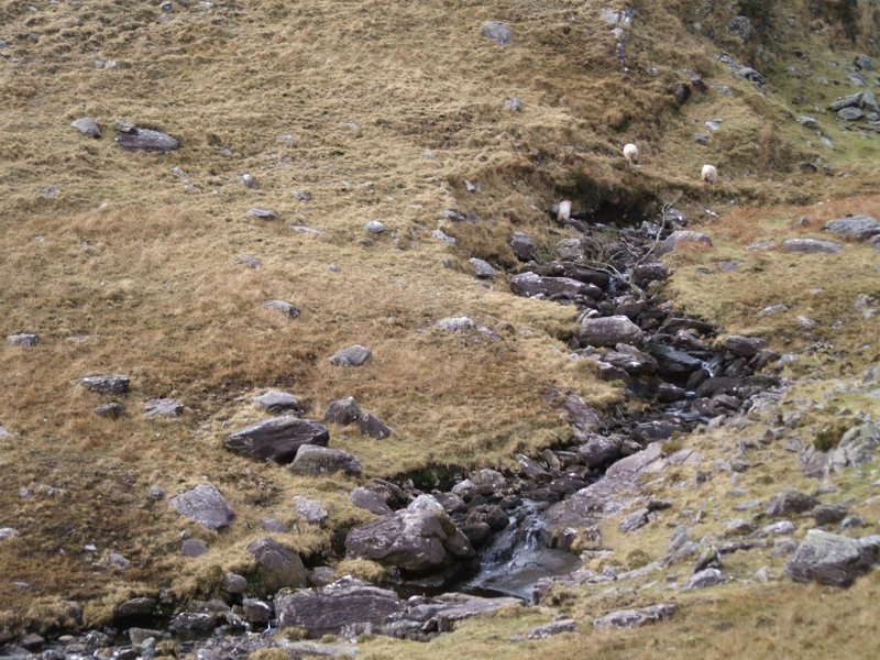 Dieser Bach schlngelt sich malreisch auch noch durch eine kleine Brcke. Der Healy Pass liegt in der Nhe von Glengariff.