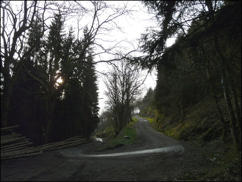 Dieser Wanderweg fhrt von Kautenbach zum Aussichtspunkt  Hockslay  (390 m) hinauf. 17.04.08