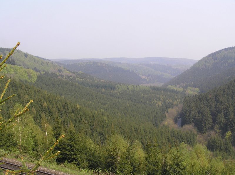 Dieses Foto ist zwischen Wernigerode und Drei-Annen-Hohne am Wanderweg neben der Schiene der Harzer Schmalspurbahn (unten links im Bild zu sehen) bei der  Steinernen Renne  aufgenommen, am 06.06.2006