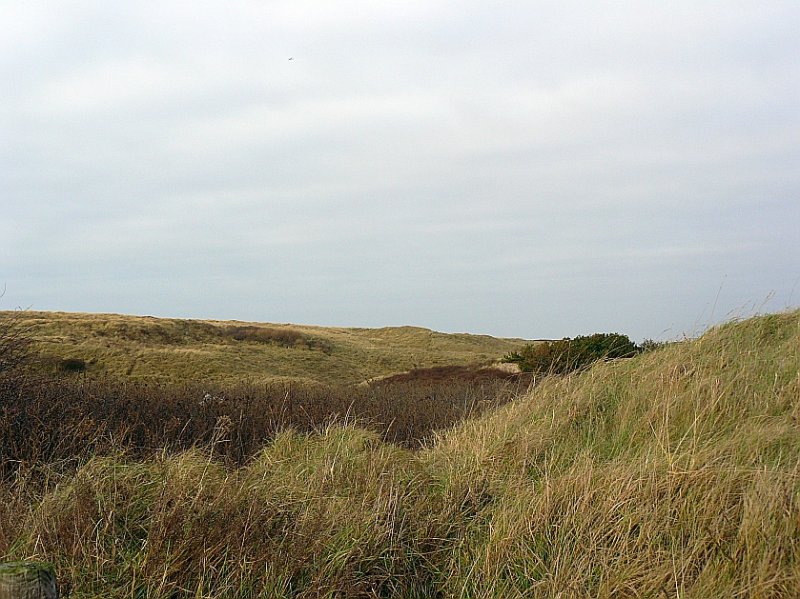 Dne bei Noordwijk (Niederlande) 27-01-2008.