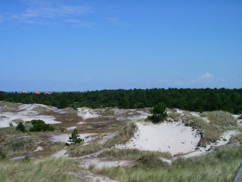 Dnen und Kstenwald bei St. Peter-Ordimg, 2003