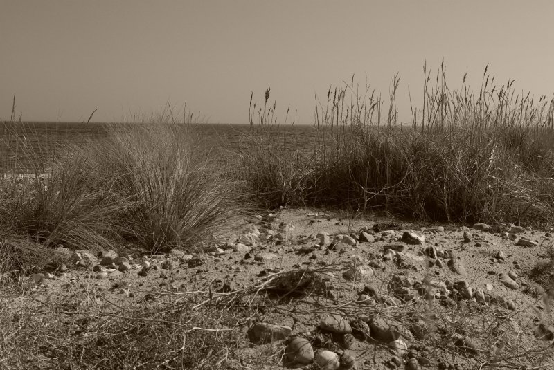 Dnen, Seegras, Steine, Sand, Meer und Himmel. Eingefangen in Schwarzweiss.