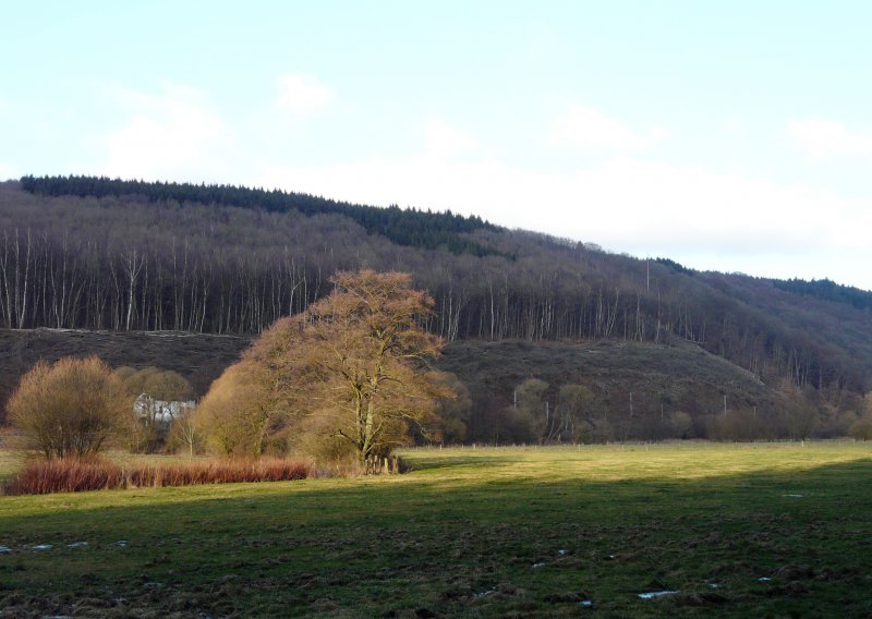 Durch eine Lcke in den Wolken erhellt die Sonne fr einen Augenblick das Tal der Clerve bei Mecher/Clervaux (Luxemburg) am 02.01.08. Im Hintergrund sieht man, dass Kyrill auch das kleine Luxemburg nicht verschont hat.