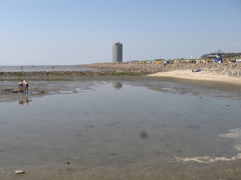 Ebbe anm Strand von Bsum, Juli 2006
