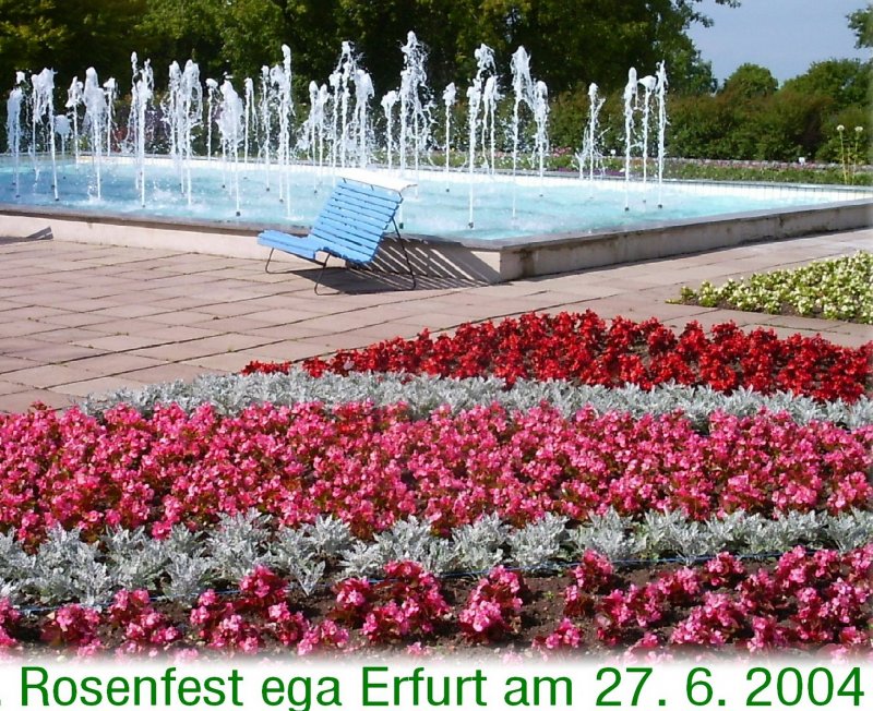 ega Erfurt, Rosenfest Juni 2004