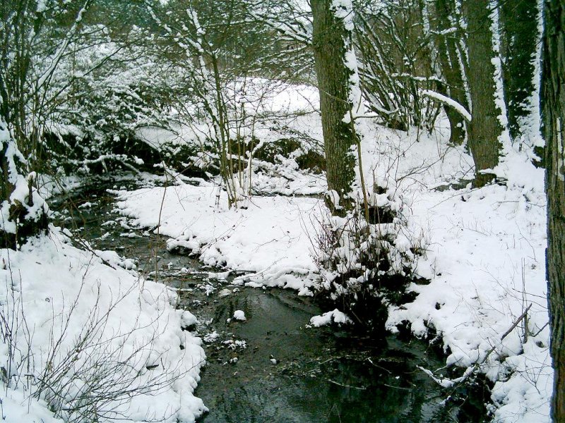 Ein Bach,mitten im Schnee!Ein sehr schner Anblick wie ich finde,liegt auf etwa Hlfte der Strecke!Weitere Naturwunder unter: http://picasaweb.google.de/gerdsimmer
