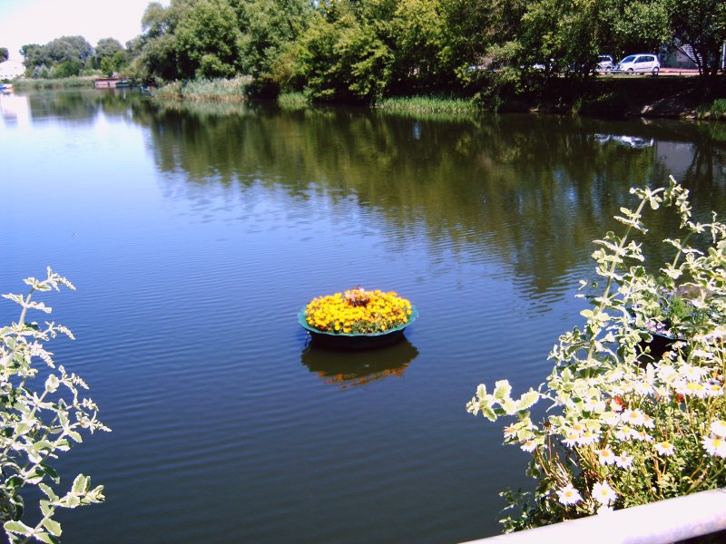 Ein Blick auf die Rosen in der Havel bei Rathenow. Aufgenommen im Jahre 2006.