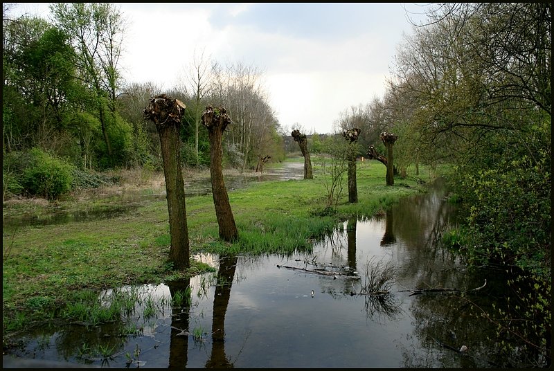 Ein einsamer Ort...
Das Bild ist aufgenommen im Erholungspark Biegerhoff Duisburg Wanheim 