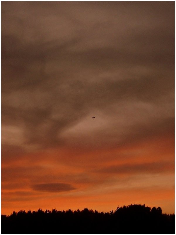 Ein Fallschirmspringer landet im Abendrot auf dem Flugfeld von Noertrange. 12.10.08 (Jeanny)